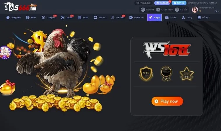 Sảnh Đá Gà S666 thiết kế giao diện đẹp, chuyên nghiệp